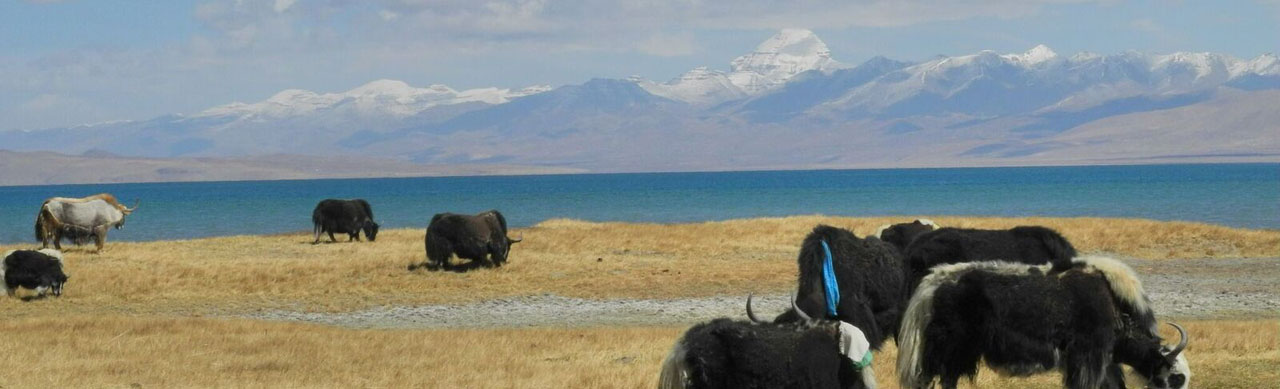 Tibet Trekking