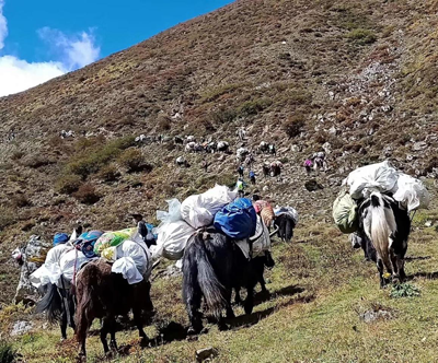 19 Days The East Face of Mt. Everest (Kangshung Valley) Trekking